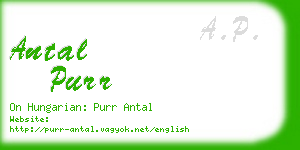 antal purr business card